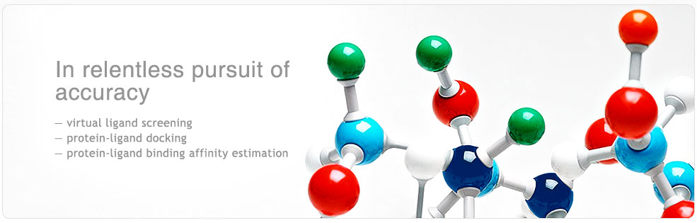 In relentless pursuit of accuracy in: virtual ligand screening, protein-ligand docking, protein-ligand binding affinity estimation